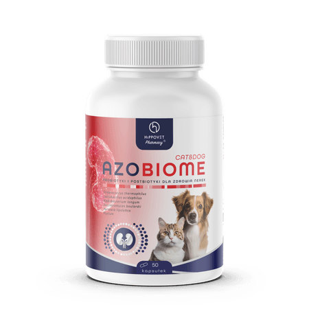 Hippovet Pharmacy AZOBIOME probiotyk dla psów i kotów – wsparcie w terapii chorób nerek