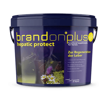 Hepatic protect – regeneracja wątroby 3 kg