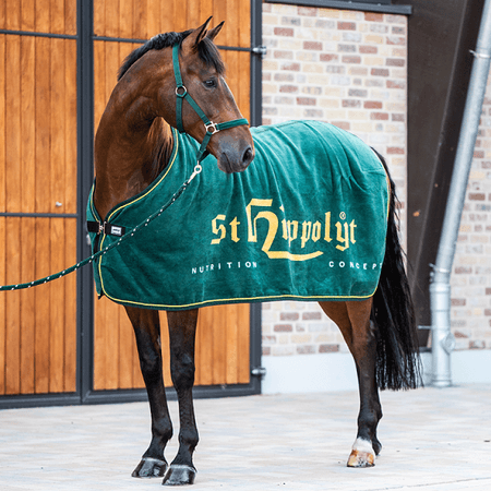 Derka St. Hippolyt – ESKADRON