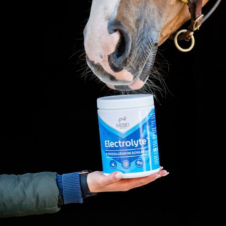 Electrolyte MEBIO – elektrolity o przedłużonym działaniu 5 kg DARMOWA WYSYŁKA
