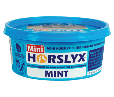 Horslyx lizawka witaminowa MINT 650g