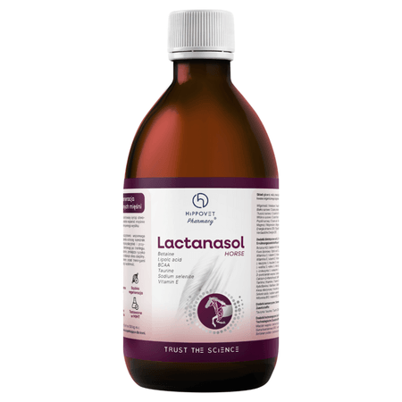 Hippovet Pharmacy – Lactanasol 250 ml – intensywne odkwaszanie i ochrona mięśni