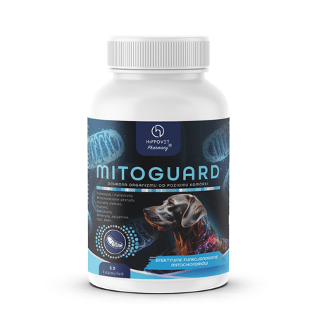 Hippovet Pharmacy – MitoGuard – opóźnienie procesów starzenia psów i kotów