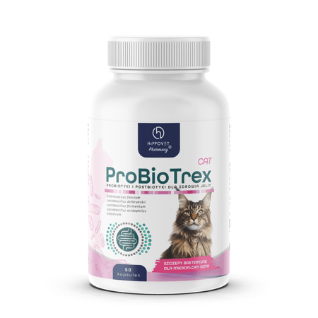 Hippovet Pharmacy – ProBioTrex Cat – probiotyk i postbiotyk dla kotów, wsparcie mikroflory jelitowej