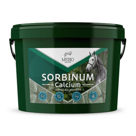 MEBIO Calcium Sorbinum – wapń z alg morskich 10 kg