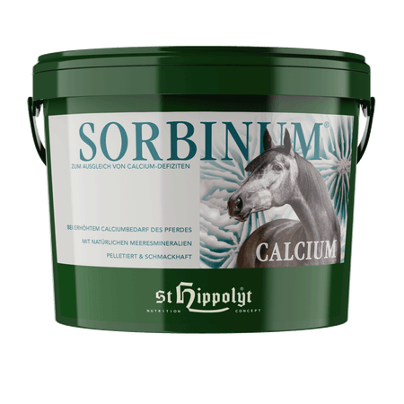 St.Hippolyt – Calcium Sorbinum – 10 kg - Preparat z wapniem i witaminą C