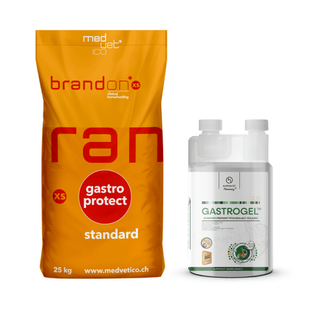 Zestaw Brandon XS + Gastrogel 2.0 1200ml